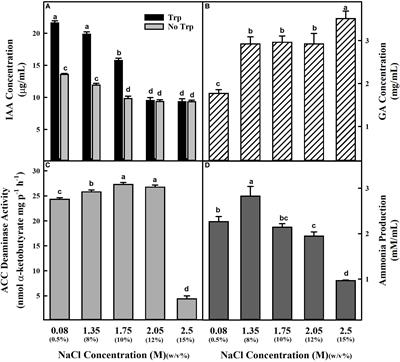 Protection of Photosynthesis by Halotolerant Staphylococcus sciuri ET101 in Tomato (Lycoperiscon esculentum) and Rice (Oryza sativa) Plants During Salinity Stress: Possible Interplay Between Carboxylation and Oxygenation in Stress Mitigation